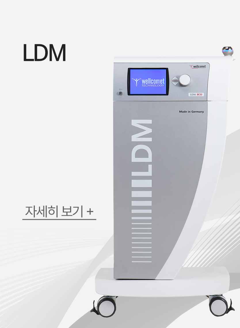 LDM