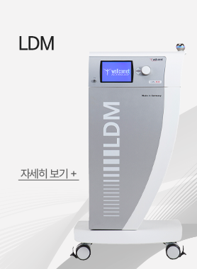 LDM
