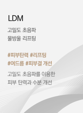 LDM