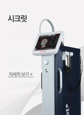 시크릿