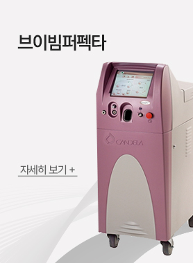 브이빔