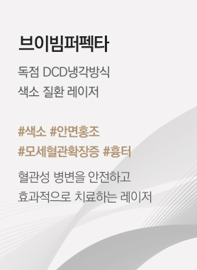 브이빔